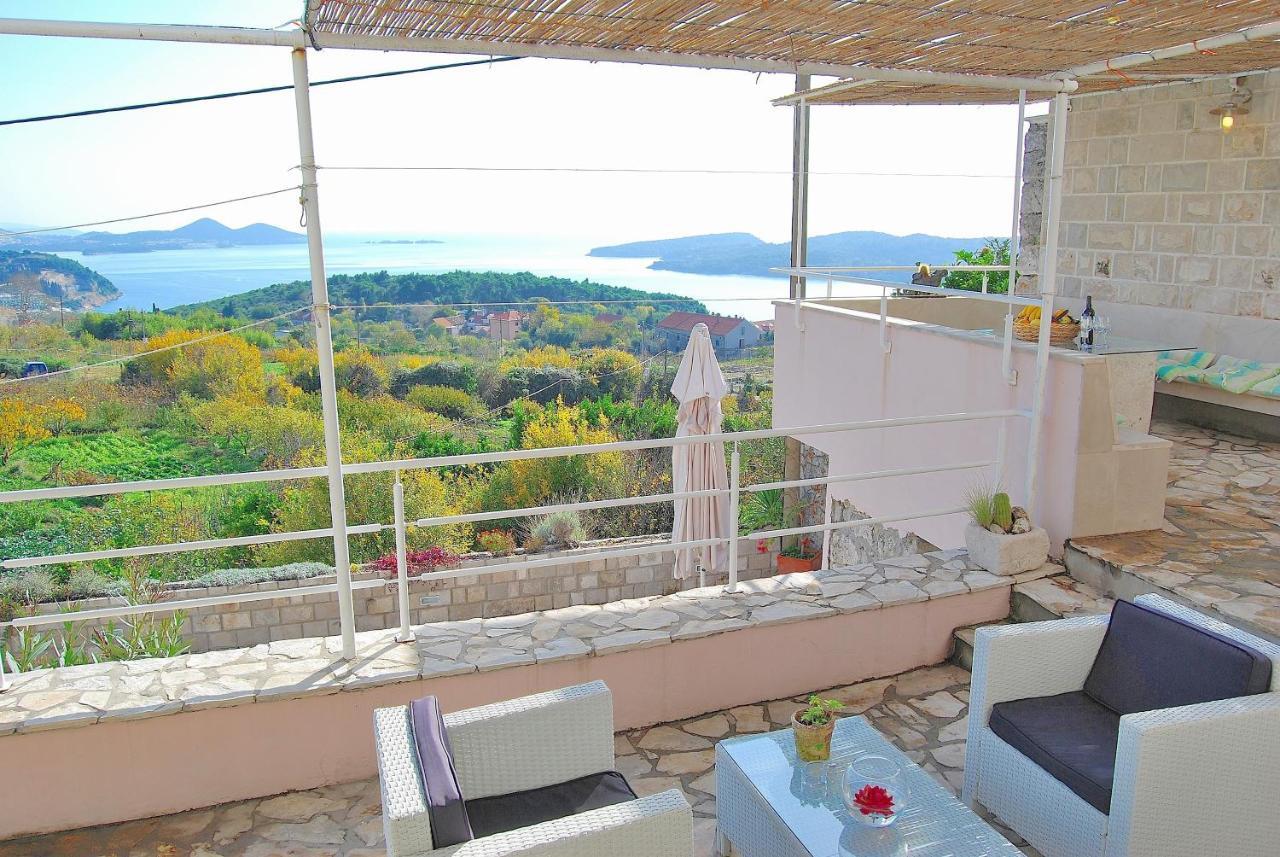 Villa Tony Orašac Eksteriør billede